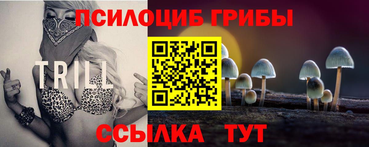 Керчь  Галлюциногенные грибы MAGIC MUSHROOMS  Вход с VPN  хочу   Псилоцибиновые грибы мицелий 